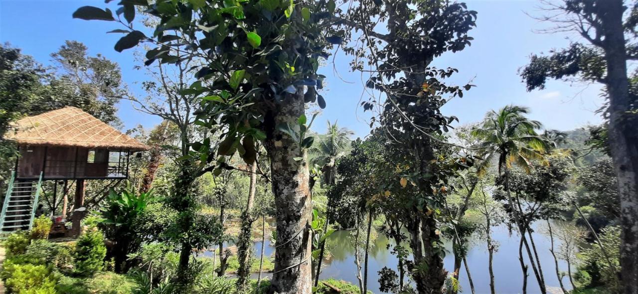Noah's Nest Tree House Homestay