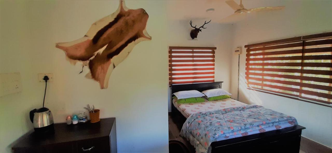 Homestay Noah's Nest Tree House