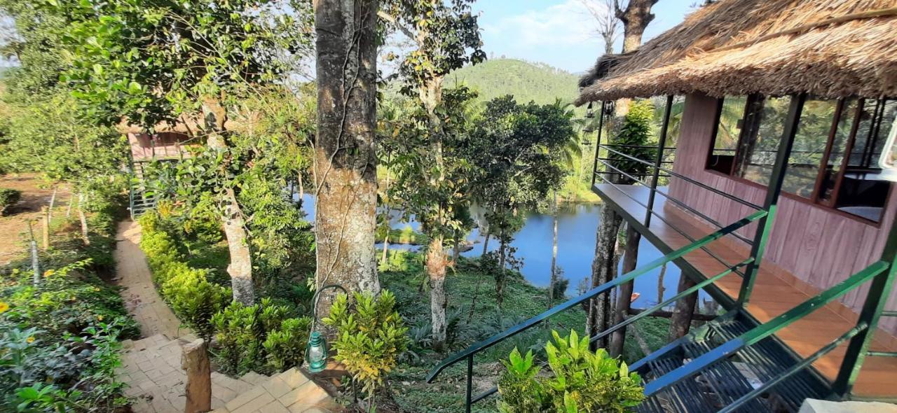 Homestay Noah's Nest Tree House