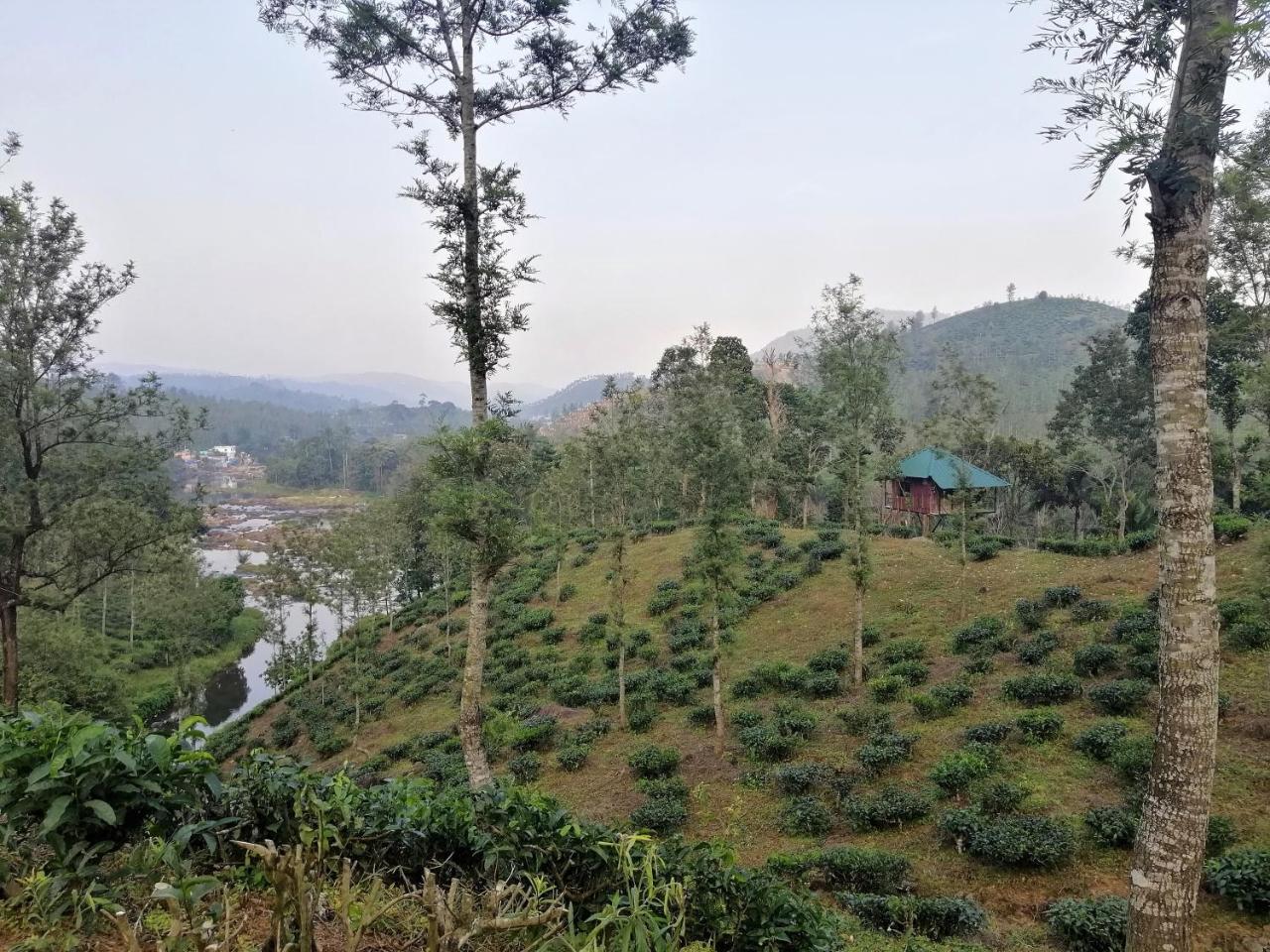Homestay Noah's Nest Tree House