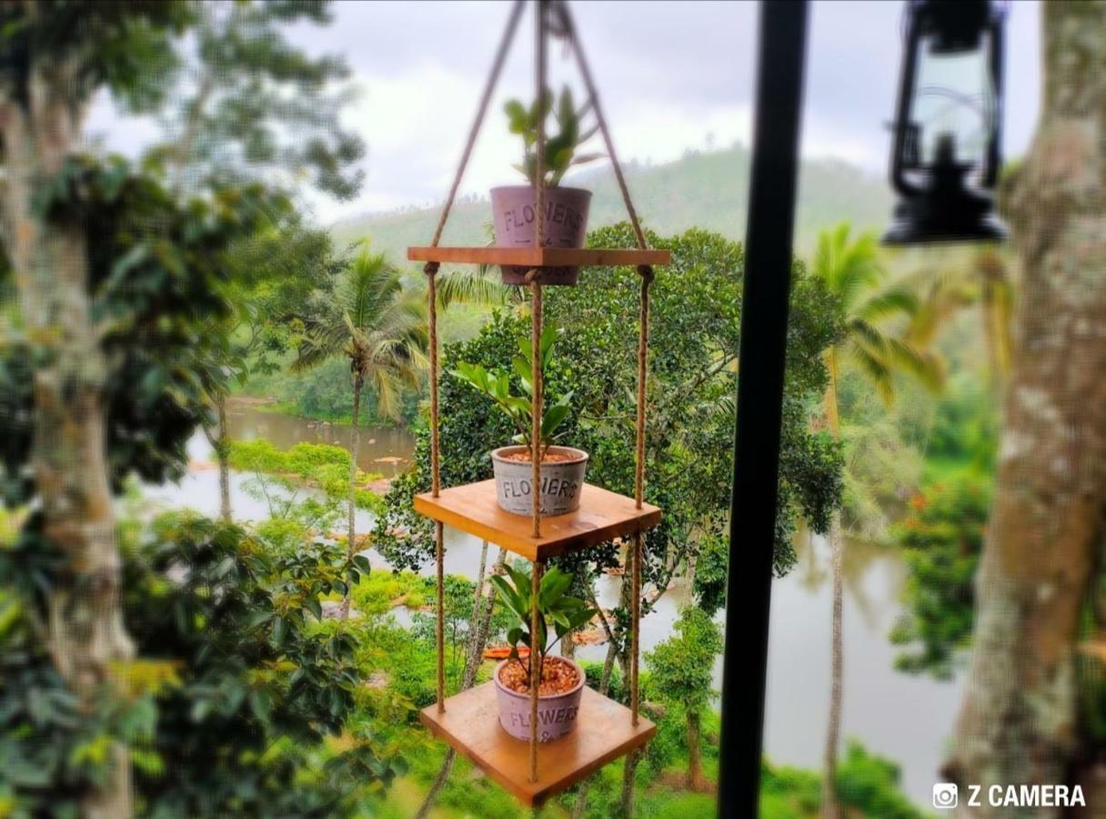 Noah's Nest Tree House Homestay