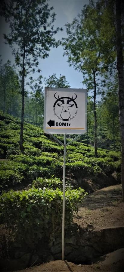 Noah's Nest Tree House Thekkady